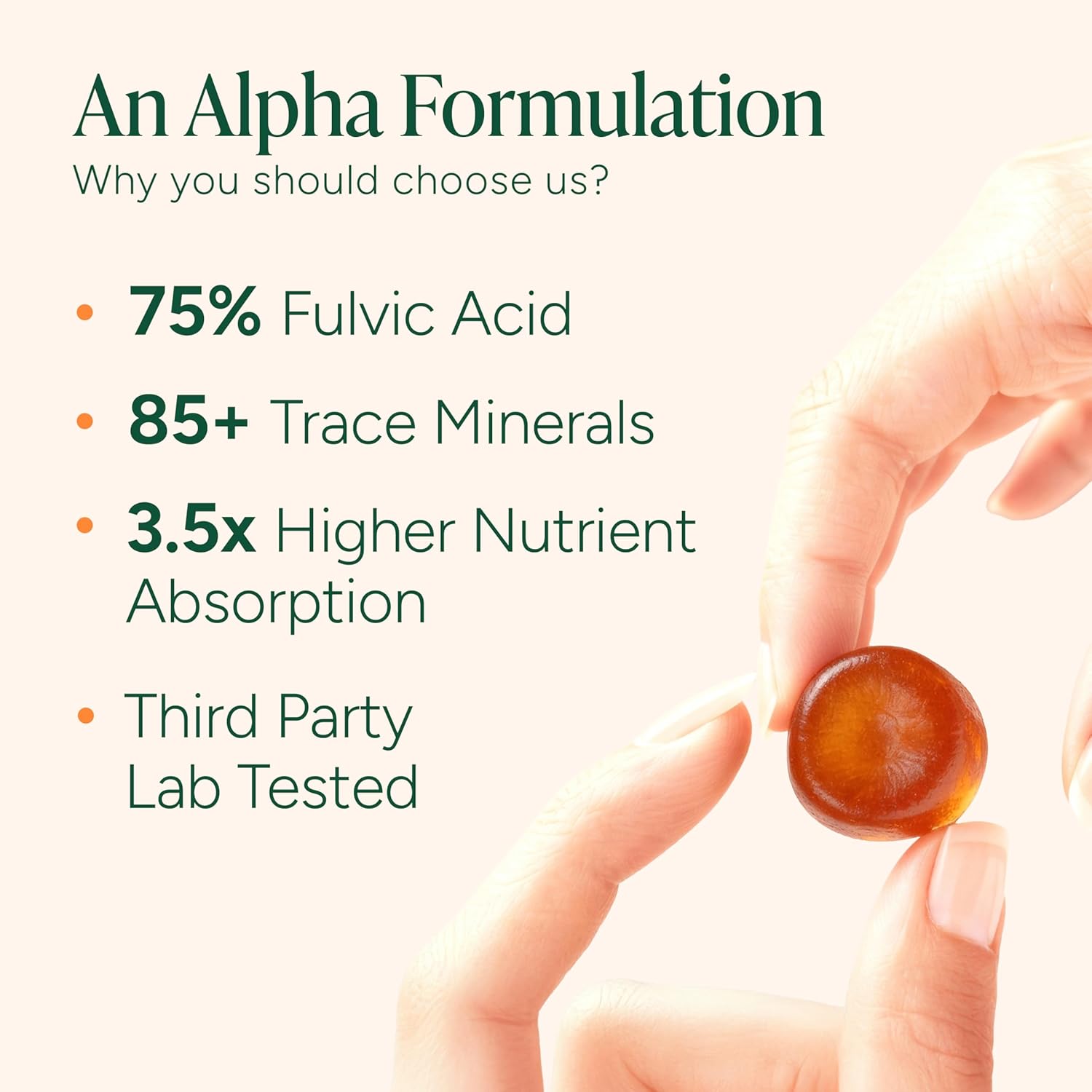 10 - In - 1 Alpha Shilajit Gummies | 4000 Mg Pure Himalayan Shilajit, Tongkat Ali, Maca Root, 75% Fulvic Acid | Shilabsorb Bioavailability Tech | Sugar - Free Vegan, 85+ Trace Minerals | 60 Pack - Vitamen Store