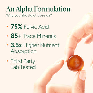 10 - In - 1 Alpha Shilajit Gummies | 4000 Mg Pure Himalayan Shilajit, Tongkat Ali, Maca Root, 75% Fulvic Acid | Shilabsorb Bioavailability Tech | Sugar - Free Vegan, 85+ Trace Minerals | 60 Pack - Vitamen Store