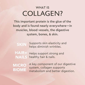 Alaya Multi Collagen Powder - Type I, II, III, V, X Hydrolyzed Collagen Peptides Protein Powder Supplement with MSM + GC (Vanilla) - Vitamen Store