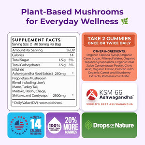 Ashwagandha Gummies and Lions Mane Mushroom Gummies Supplement - Organic - Reishi, Cordyceps, Turkey Tail, Maitake, Shitake, Chaga - Immune Defense, Boosts Cognitive Performance, Vegan, Low Carb - Vitamen Store