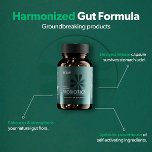 BIOMA Probiotics 3 - in - 1 Synbiotic Capsules - 60 Count - Vitamen Store