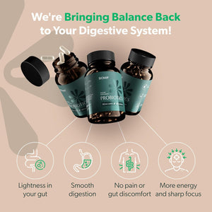 BIOMA Probiotics 3 - in - 1 Synbiotic Capsules - 60 Count - Vitamen Store