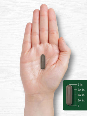 Carlyle Shilajit Capsules – 2000 mg – 90 Count – Non - GMO and Gluten - Free Supplement - Vitamen Store