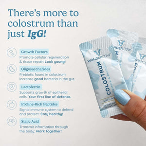 Colostrum Supplement Powder for Gut Health, Immune Support, Muscle Recovery & Wellness | Natural Igg Pure Whole Bovine Colostrum Superfood, Unflavored, 60 Servings - Vitamen Store