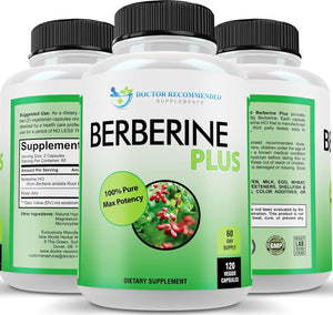 DOCTOR RECOMMENDED SUPPLEMENTS Berberine plus 1200Mg per Serving - 120 Veggie Capsules with Royal Jelly - Vitamen Store
