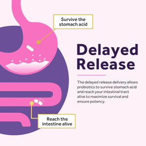 Doctor'S Recipes Women’S Probiotic, 60 Caps 50 Billion CFU 16 Strains, with Organic Cranberry, Digestive Immune Vaginal & Urinary Health, Shelf Stable, Delayed Release, No Soy Gluten Dairy - Vitamen Store