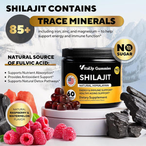 Himalayan Shilajit Gummies – Sugar - Free with Fulvic Acid – Individually Wrapped – 60 Gummies - Vitamen Store