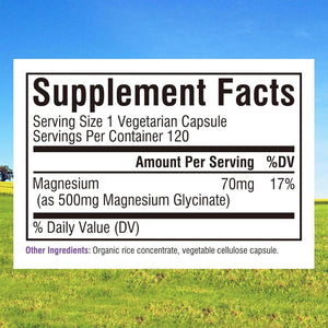 Innate Vitality Magnesium Glycinate 500Mg, 70Mg Elemental Magnesium per Cap, 120 Veggie Capsules - Vitamen Store