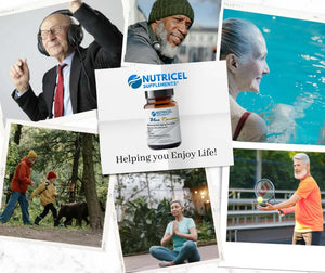 Methylene Blue Pharmaceutical Grade Capsules, with Added Glycine + NAC for Enhanced Antioxidant Activity, Collagen and Creatine for Anti - Aging Support, Youth and Longevity Formula - Vitamen Store