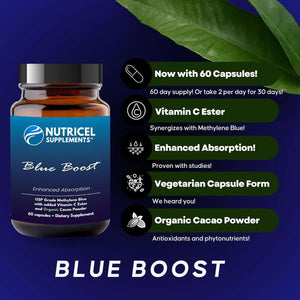 Methylene Blue (USP Grade) Pharma Grade Supplements, Capsule Form, with Added Vitamin C Ester for Enhanced Absorption, Brain Supplement with Brain Fuel, Memory, Focus, Clarity, Cognitive, Energy - Vitamen Store