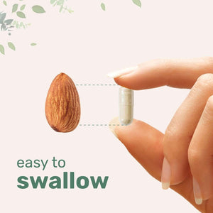 Micro Ingredients Multi Collagen Pills for Women & Men, 240 Capsules | Type I, II, III, V, X - Hydrolyzed Collagen Peptides with Biotin, Hyaluronic Acid & Vitamin C | Hair, Skin, Nail & Joint Support - Vitamen Store