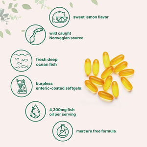 Micro Ingredients Triple Strength Omega 3 Fish Oil Supplements 4200Mg per Serving, 240 Softgels – Lemon Flavored – Burpless | EPA 1200Mg + DHA 900Mg | Deep Sea Fish. - Vitamen Store