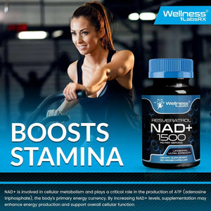 NAD+ Supplement 1500mg with Resveratrol – Liposomal, Ultra Strength, USA Made – 3 Pack - Vitamen Store
