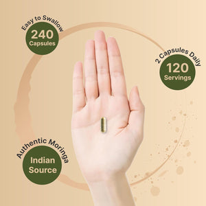 Naturebell Pure Moringa Capsules 8000Mg per Serving - Made with Moringa Powder Organic, 240 Capsules - Non - Gmo, Gluten Free, 4 Month Supply - Vitamen Store