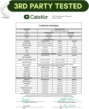 NMNH Supplement Alternative - Liposomal NAD with Resveratrol - 60 Capsules - Vitamen Store