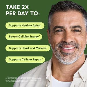 NMNH Supplement Alternative - Liposomal NAD with Resveratrol - 60 Capsules - Vitamen Store