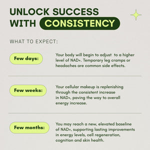 NMNH Supplement Alternative - Liposomal NAD with Resveratrol - 60 Capsules - Vitamen Store