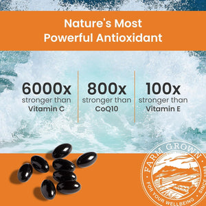 NUTREX HAWAII Bioastin Hawaiian Astaxanthin - 12Mg, 90 Softgels - Farm - Direct Premium Antioxidant Supplement - Non - Gmo & Gluten - Free - Vitamen Store