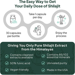 One - Per - Day Shilajit Capsules – Natural Shilajit Supplement – 30 Count - Vitamen Store