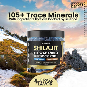 Organic Shilajit Gummies, Sea Moss, Ashwagandha, 105+ Trace Minerals – Organic Burdock Root & Lions Mane Mushroom - Blue Razz – Vegan & Non - Gmo – Made in USA – 60Ct - Vitamen Store