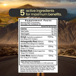 Organic Shilajit Gummies with Sea Moss, Ashwagandha, Burdock Root & Lion's Mane - Watermelon Flavor - Vegan, Non - GMO, USA Made - 60 Count - Vitamen Store