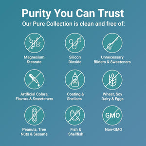 Pure Methylated Multivitamin for Men & Women | 240 Capsules with Vitamins C, D, B12, Thiamin, Folate + Magnesium, Zinc, & More | High Absorption | Bioactive Vitamin & Mineral Complex | Filler Free - Vitamen Store