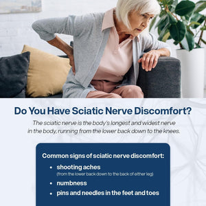 Sciatic Nerve Health Support Supplement - Nerve Support Formula with Alphapalm, Pea, Vitamin B Complex, Alpha Lipoic Acid 300Mg - 120 Capsules - Vitamen Store