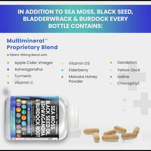 Sea Moss 3000Mg Black Seed Oil 2000Mg Ashwagandha 1000Mg Turmeric 1000Mg Bladderwrack 1000Mg Burdock 1000Mg & Vitamin C & D3 with Elderberry Manuka Dandelion Yellow Dock Iodine Chlorophyll ACV - Vitamen Store