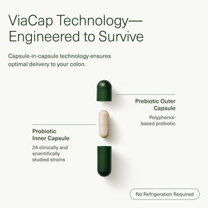 Seed DS - 01 Daily Synbiotic - Prebiotic and Probiotic - Vegan & Shelf - Stable - 60 Capsules - Vitamen Store