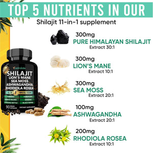 Shilajit Capsules – 11 - in - 1 Pure Himalayan Organic Blend with Sea Moss, Ashwagandha, Rhodiola Rosea, Panax Ginseng, Turmeric, Lion’s Mane, and Ginkgo – For Daily Use – 60 Capsules - Vitamen Store