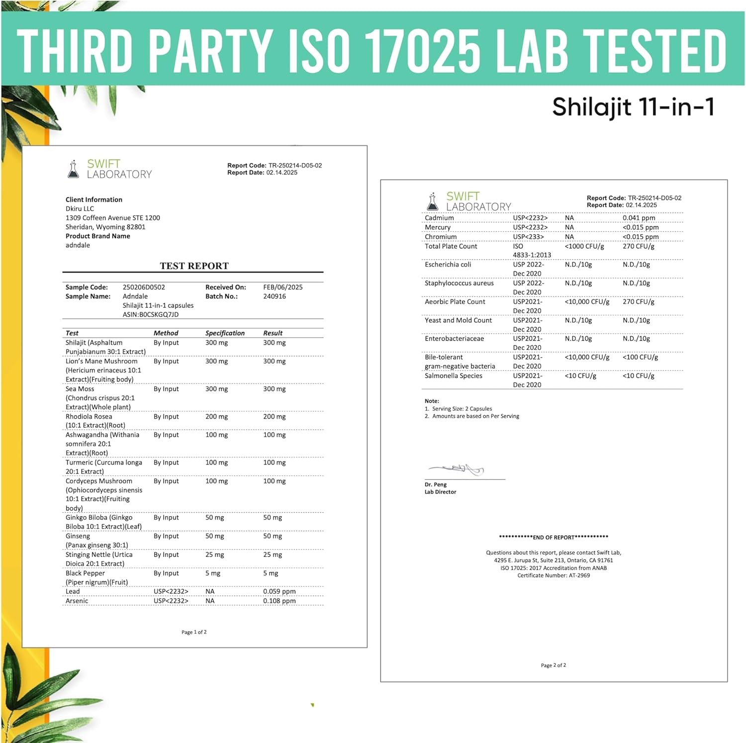 Shilajit Capsules – 11 - in - 1 Pure Himalayan Organic Blend with Sea Moss, Ashwagandha, Rhodiola Rosea, Panax Ginseng, Turmeric, Lion’s Mane, and Ginkgo – For Daily Use – 60 Capsules - Vitamen Store