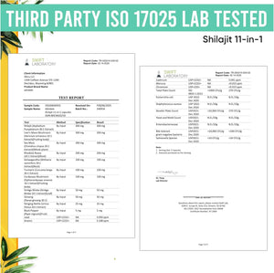 Shilajit Capsules – 11 - in - 1 Pure Himalayan Organic Blend with Sea Moss, Ashwagandha, Rhodiola Rosea, Panax Ginseng, Turmeric, Lion’s Mane, and Ginkgo – For Daily Use – 60 Capsules - Vitamen Store