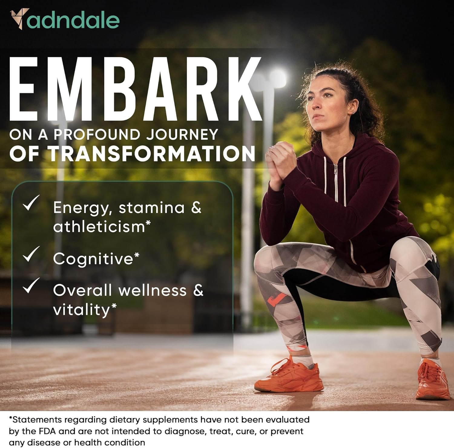 Shilajit Capsules – 11 - in - 1 Pure Himalayan Organic Blend with Sea Moss, Ashwagandha, Rhodiola Rosea, Panax Ginseng, Turmeric, Lion’s Mane, and Ginkgo – For Daily Use – 60 Capsules - Vitamen Store