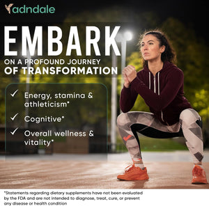 Shilajit Capsules – 11 - in - 1 Pure Himalayan Organic Blend with Sea Moss, Ashwagandha, Rhodiola Rosea, Panax Ginseng, Turmeric, Lion’s Mane, and Ginkgo – For Daily Use – 60 Capsules - Vitamen Store