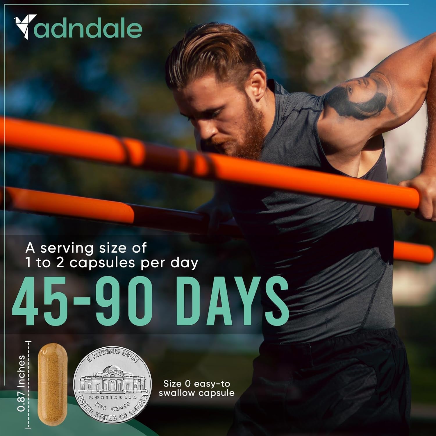 Shilajit Capsules – 11 - in - 1 Pure Himalayan Organic Blend with Sea Moss, Ashwagandha, Rhodiola Rosea, Panax Ginseng, Turmeric, Lion’s Mane, and Ginkgo – For Daily Use – 60 Capsules - Vitamen Store