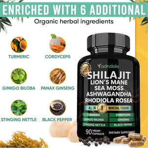 Shilajit Capsules – 11 - in - 1 Pure Himalayan Organic Blend with Sea Moss, Ashwagandha, Rhodiola Rosea, Panax Ginseng, Turmeric, Lion’s Mane, and Ginkgo – For Daily Use – 60 Capsules - Vitamen Store