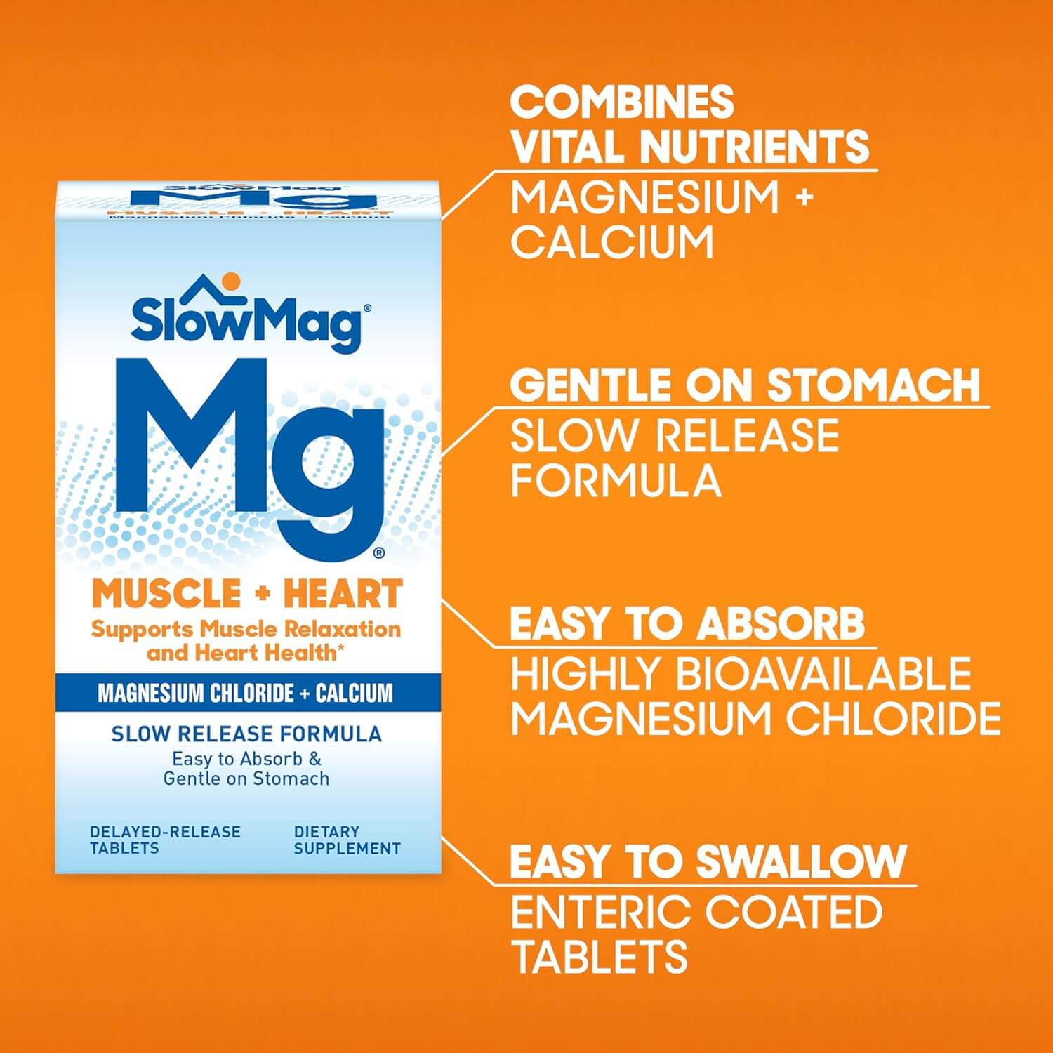 SlowMag Muscle + Heart Magnesium Chloride with Calcium – High Absorption Supplement – 120 Count - Vitamen Store
