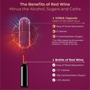 VINIA 12 - Hour Long - Lasting Piceid Resveratrol Supplement – 30 - Day Supply, Keto Friendly, Vegan & Non - GMO - Vitamen Store