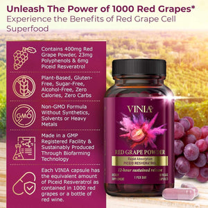 VINIA 12 - Hour Long - Lasting Piceid Resveratrol Supplement – 30 - Day Supply, Keto Friendly, Vegan & Non - GMO - Vitamen Store