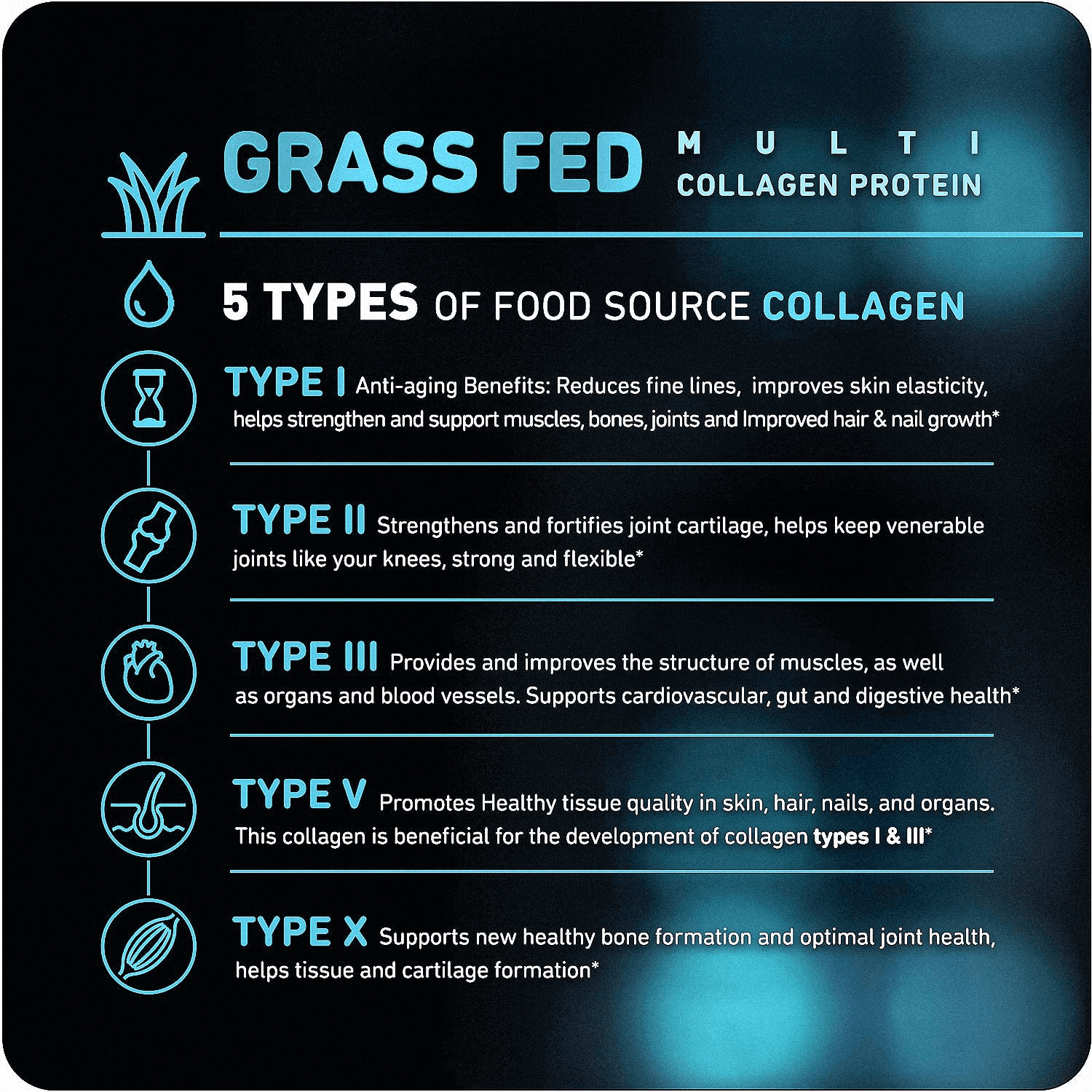 Vital Vitamins Multi Collagen Complex - Type I, II, III, V, X, Grass Fed, Non - GMO, 150 Capsules - Vitamen Store