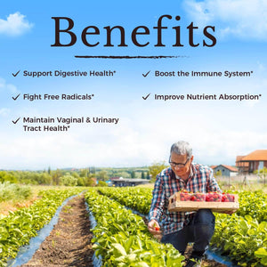 Vitalitown Probiotics for Women – 120 Billion CFUs, 30 Strains with Prebiotics, Digestive Enzymes & Cranberry – Vegan, 30 Delayed Release Capsules - Vitamen Store