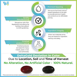 WELLNESS EXTRACT E Annatto Tocotrienols Deltagold 300Mg, Vitamin E Tocotrienols Supplements 30 Softgel Capsules, Tocopherol Free, Supports Immune Health & Antioxidant Health (90% Delta & 10% Gamma). - Vitamen Store