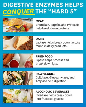 Zenwise Health Digestive Enzymes and Bromelain for Gut Health - Probiotic Multi Enzymes with Prebiotics and Probiotics for Women and Men for Digestive Health and Bloating Relief for Digestion - 60 CT - Vitamen Store