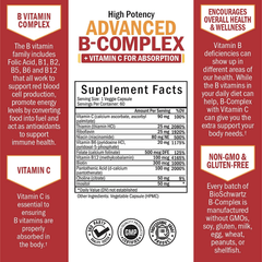 Vitamin B Complex with Vitamin C for Maximum Absorption - Methylcobalamin B12 & Folate Folic Acid Supplement - Vitamins B1 B2 B3 B5 B6 B7 B9 for Immune Energy & Nervous System Support - Non-Gmo -60Ct - vitamenstore.com