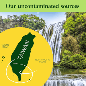 Premium Chlorella Spirulina | 1,250 TABLETS (4 Months Supply) | NON - GMO | Vegan Organic Capsules | Cracked Cell Wall | Alkalizing | High Protein with Iron, Zinc, Chlorophyll | by Good Natured - Vitamen Store