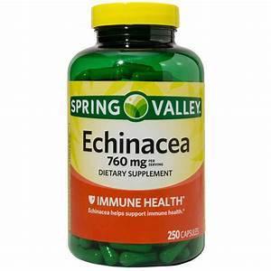 Echinacea - Vitamen Store