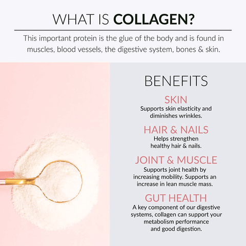 Alaya Multi Collagen Powder - Type I, II, III, V, X Hydrolyzed Collagen Peptides Protein Powder Supplement with MSM + GC (Vanilla)