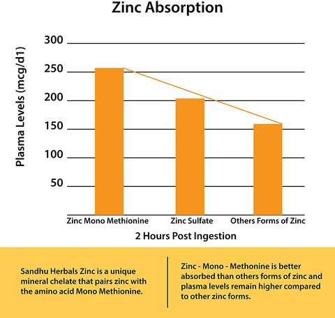 Zinc 50mg Supplement 120 Vegetarian Capsules, Zinc Highly Absorbable Supplements for Immune Support System, Gluten Free Zinc Supplement