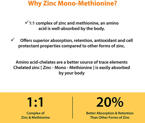 Zinc 50mg Supplement 120 Vegetarian Capsules, Zinc Highly Absorbable Supplements for Immune Support System, Gluten Free Zinc Supplement