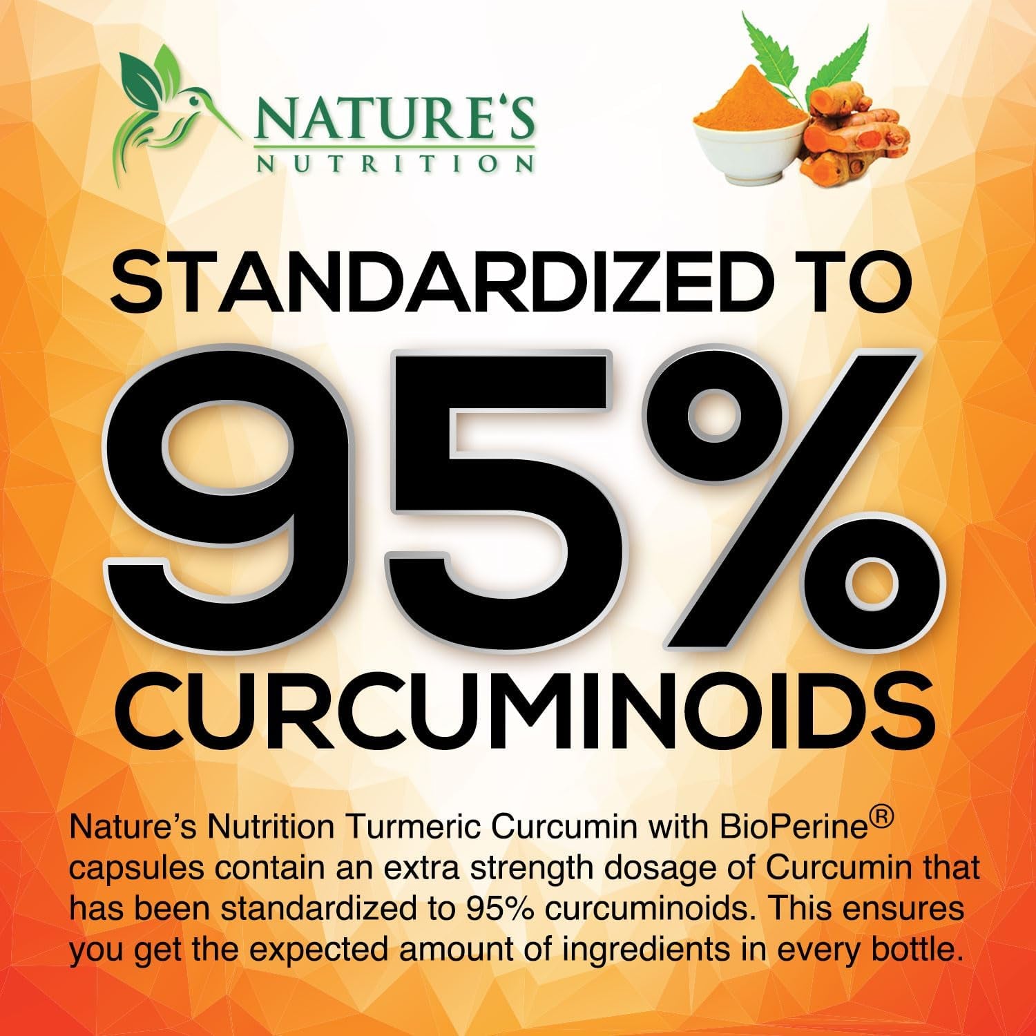 Turmeric Curcumin Supplement 1950Mg with Organic Turmeric & Ginger, 95% Curcuminoids, Bioperine Black Pepper for Best Absorption, Nature'S Vegan Joint Support, Non-Gmo, Bottled in USA - 120 Capsules